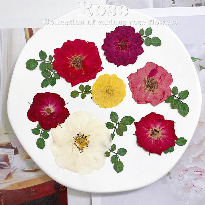Dried Flower Bookmark - 60 sztuk prasowane suszone czerwony żółty