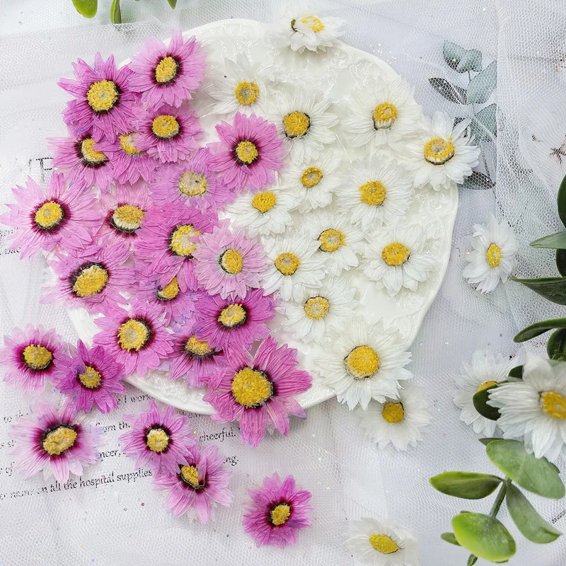 Dried Flower Bookmark - 24 sztuk/2-4CM, naturalne prasowane płatki kwiatów,