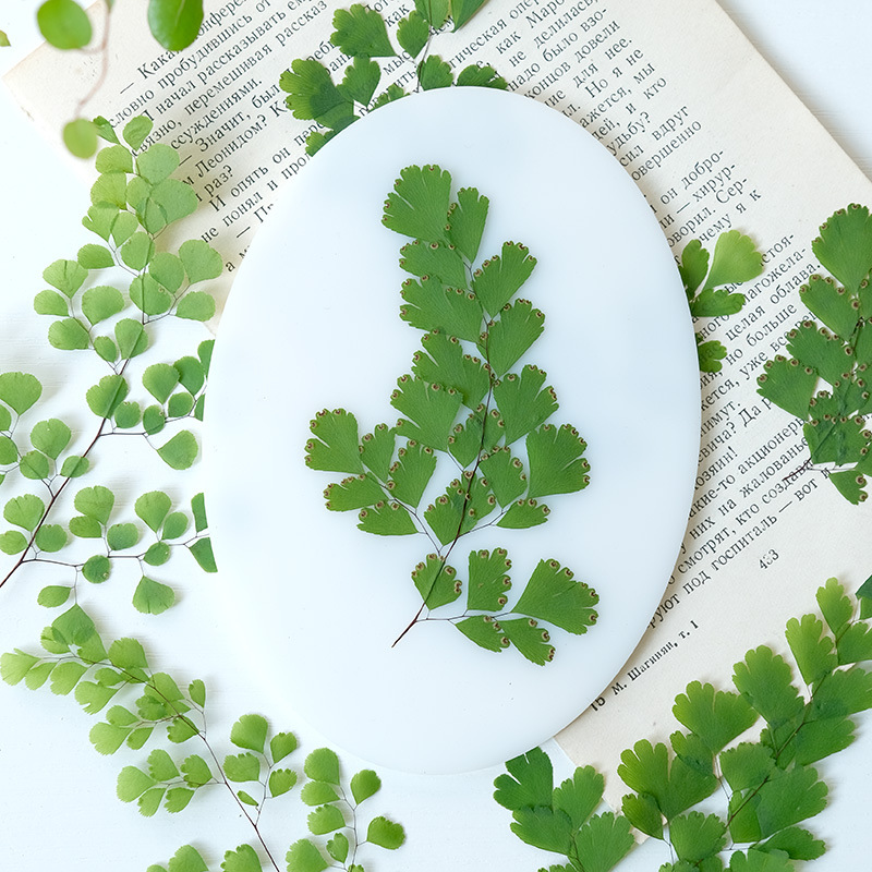 Dried Flower Bookmark - 60 szt. Naturalne rośliny, prawdziwe kwiaty,