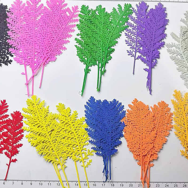 Dried Flower Bookmark - 100 szt. Naturalne srebrne pióra liściaste