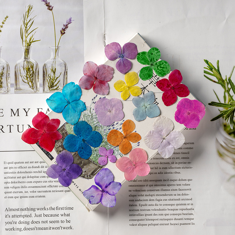 60 szt. Anna Hortensja Kwiaty  – Dried Flower Bookmark recenzja i cena