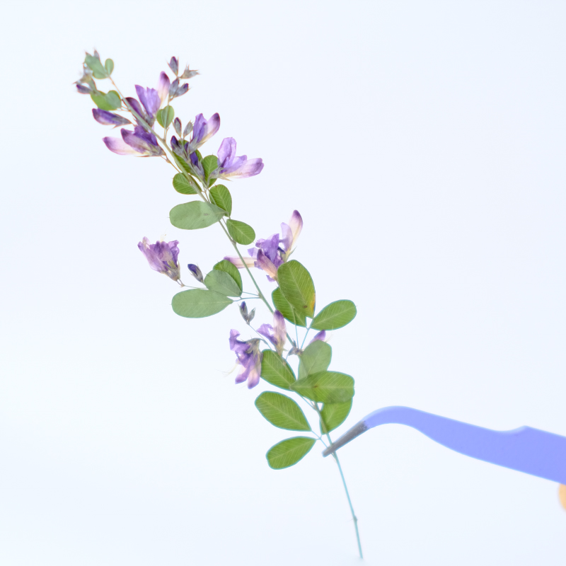 6 sztuk, naturalne suszone i p – Dried Flower Bookmark recenzja i cena