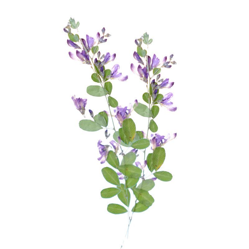 6 sztuk, naturalne suszone i p – Dried Flower Bookmark recenzja i cena