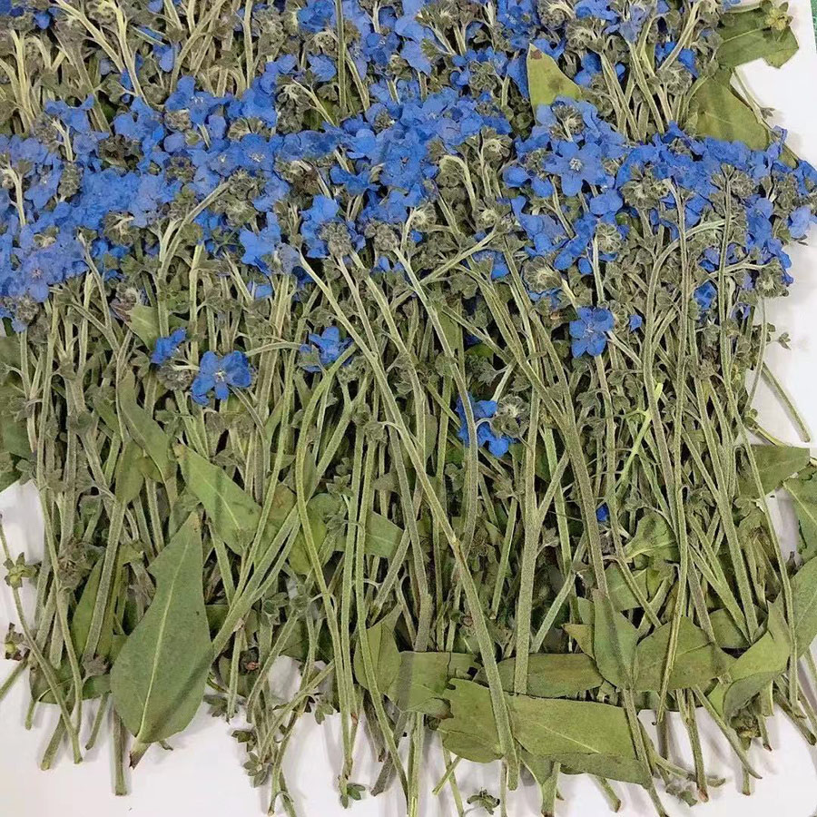 Naturalnie Prasowany, Suszony  – Dried Flower Bookmark recenzja i cena
