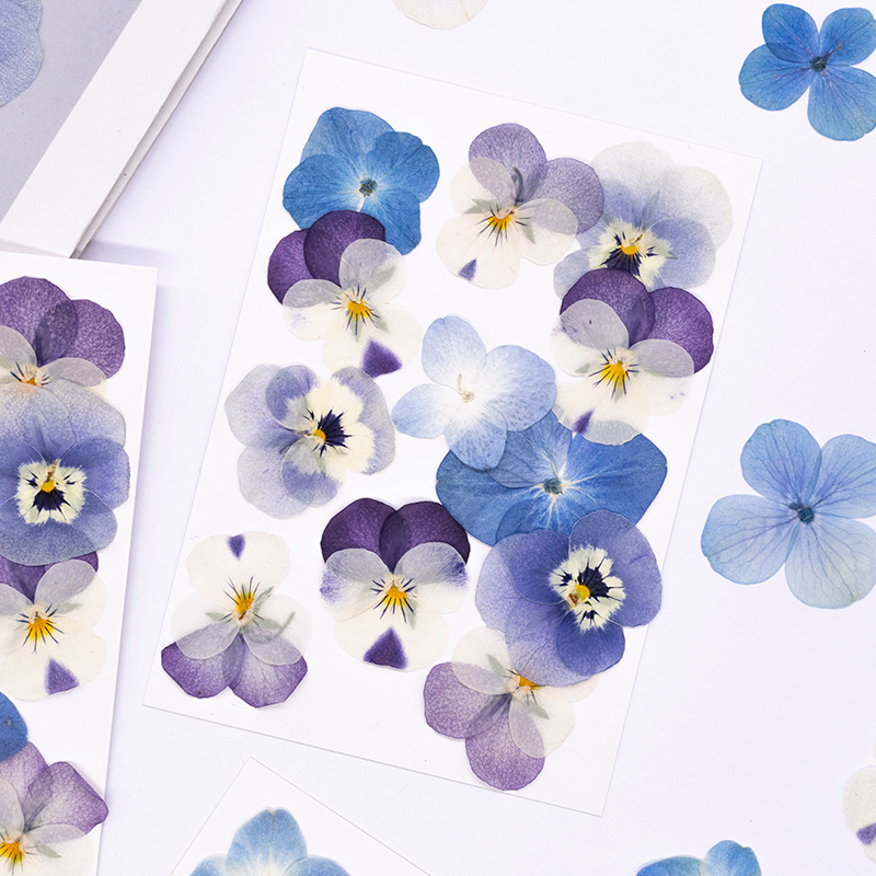 12 szt., Prawdziwe suszone kwi – Dried Flower Bookmark recenzja i cena
