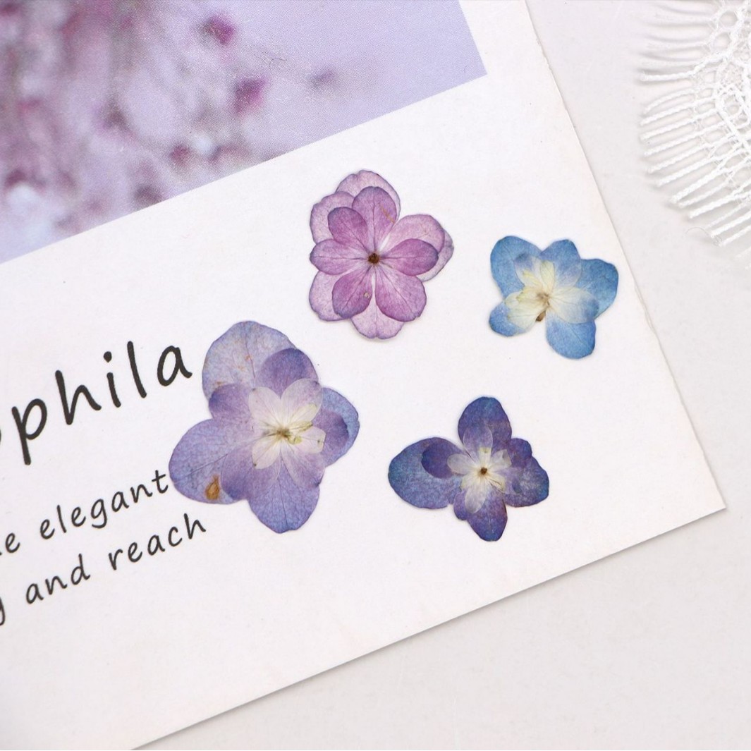 60 szt. Mini Hortensje Dwukwia – Dried Flower Bookmark recenzja i cena