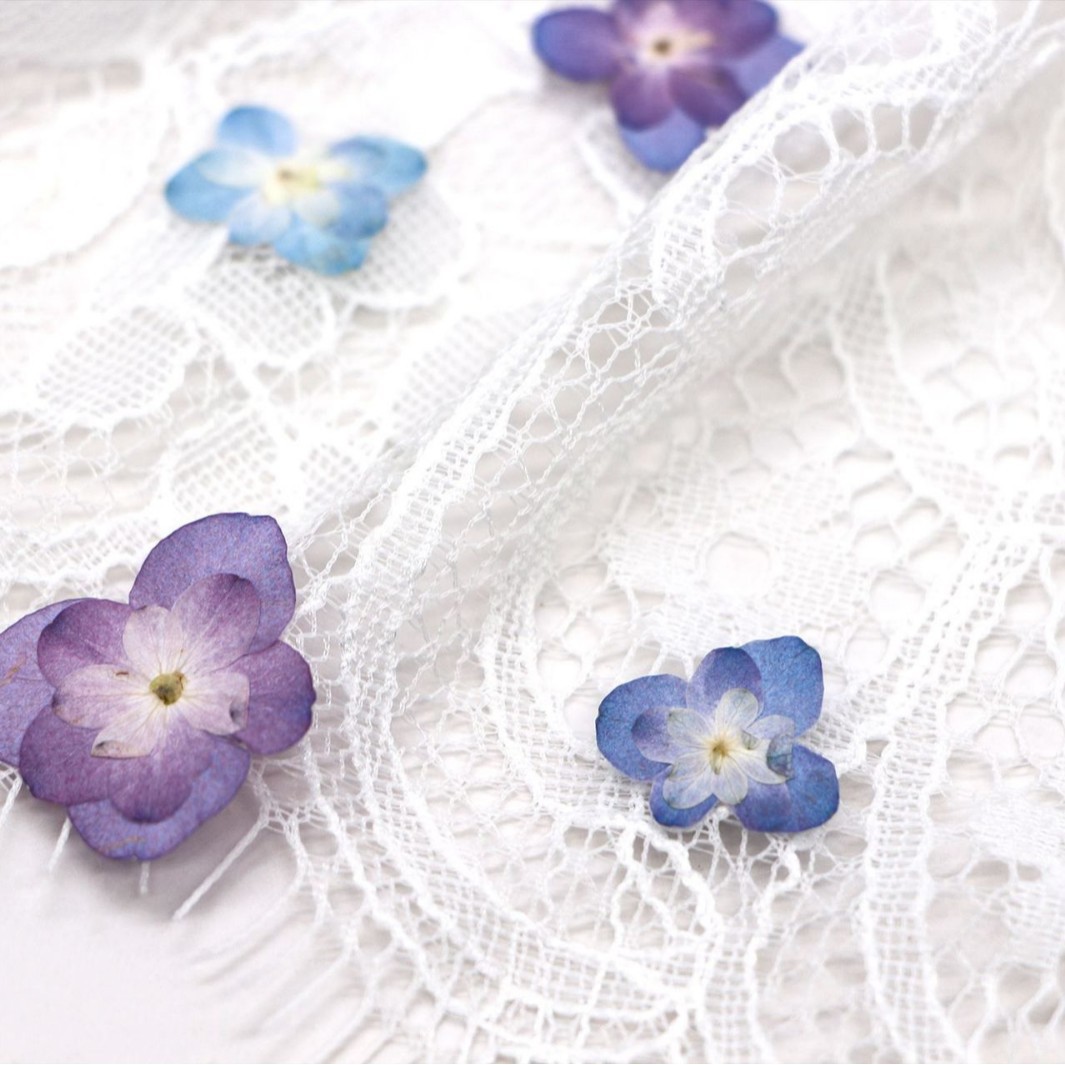 60 szt. Mini Hortensje Dwukwia – Dried Flower Bookmark recenzja i cena